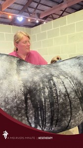 Dr. Devereux Managing Back Pain with #Mesotherapy. #horsehealthcare #EquineHealthcare #HorseCareTips #HorseHealth #VeterinaryCare #EquestrianLife #EquineWellness | Mid-Rivers Equine Centre