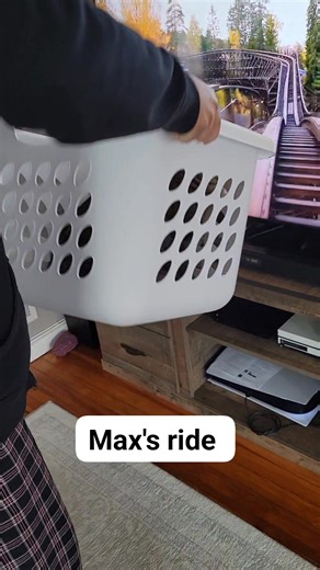 2.3K views · 62 reactions | Max's thrill ride. Wifeys having fun    #catlovers #rollercoaster #ThrillSeekers #nonfollowersviewers #likeforlikes | Denver Negrillo | Facebook