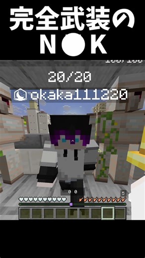 NOK fully armed [Minecraft] #shorts #Minecraft #minecraft