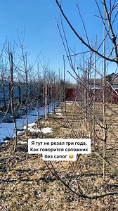 Video | intensive gardening | Facebook