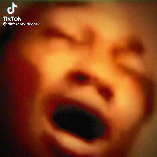 Dreamybull (@dreamybull9)’s videos with original sound - Dreamybull