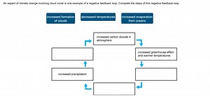 An aspect of climate change involving cloud cover is one exampl... | Filo