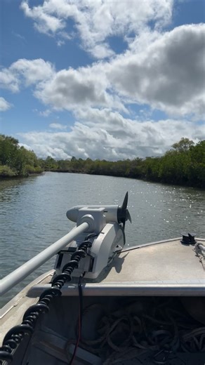 Megan Williams on Reels