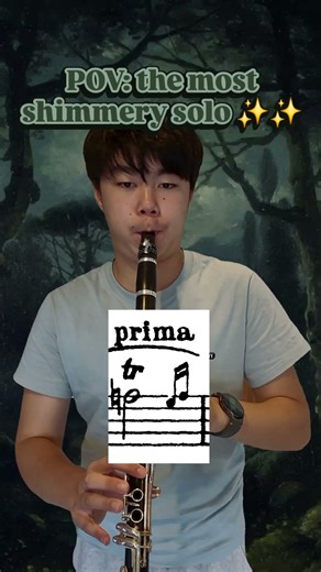 ✨️✨️ #clarinet #classicalmusic #music