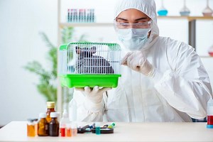 All You Need to Know about Animal Testing in Cleaning Products - Cruelty Free Soul