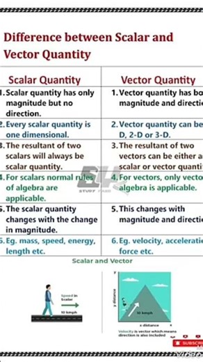 Difference between scalar and vector quantity #science #scalarquantity #vector #physics