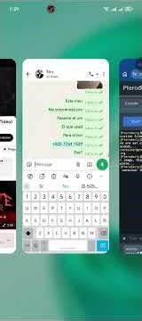 bug bot WhatsApp