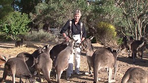 2K views · 747 reactions | NEVER FORGET Deb " Spoons" Perry. #tbt | blare | Facebook