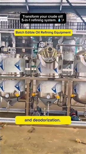 Batch Edible Oil Refining Machine: 5-in-1 Process (500斤 to 500 Tons/Day)