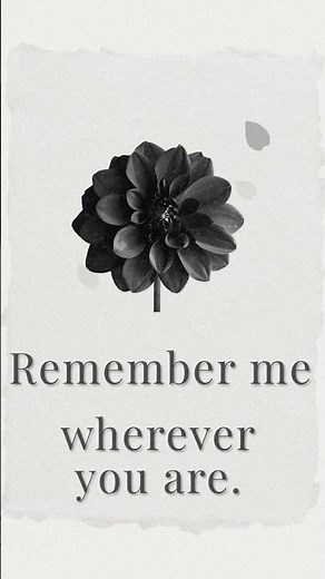 FLORÉ #015 Telopea（Waratah）— Remember me wherever you are