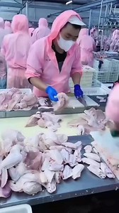 6.3K views · 77 reactions | Chicken processing plant #farming #chicken | Pakistan Poultry Farming | Facebook