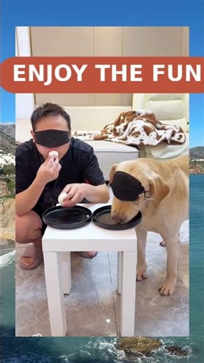 Clever Dog Trick Outsmarts Everyone 😂 #shorts