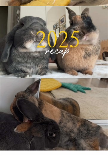 2025 Recap Highlights and Memories