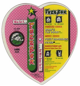 We've Got A Fuzzbox And We're Gonna Use It - What's The Point