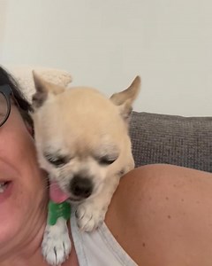 6.1K views · 715 reactions | 凜凜凜 MR POTATO HEAD 凜凜凜 This little dog is always so grateful for affection, love, kindness & feeling safe in a home environment. Even if I have to (literally) stick my neck out for him. | "Paws for Thought" Rescue | Facebook