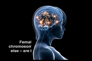 Dr. John Medina - Human Brain Development - Girls More Complicated