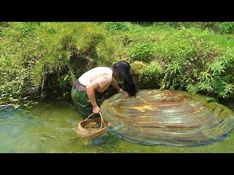 The treasures in giant clams can only be extracted manually, and many people want to obtain them