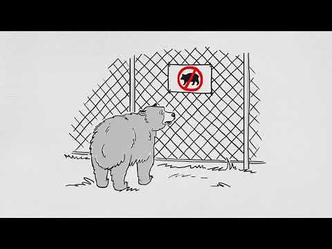 Connectivity Conservation: Why Wildlife Corridors Matter!