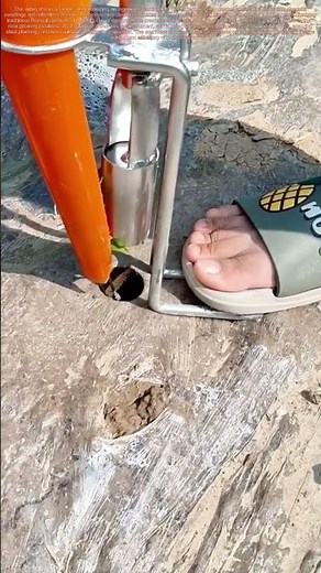 Farming Revolution: This Tool Eliminates Back-Breaking Planting Forever