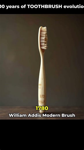 Toothbrushes Were Made From PIG HAIR! 🪥