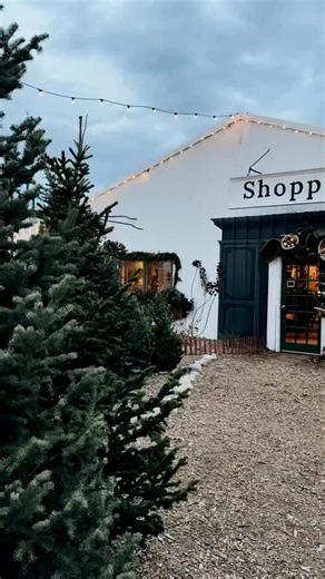 The doors are open again today, and we’re right in that sweet in-between… wrapping up the warmth of autumn while the first hints of the holidays start to settle in. It’s such a beautiful moment on the land. Come by, take a walk through it with us, and shop the wonder. #thekinlands #utah #saltlakecity #winter #christmascottage #enchantment #sharingaworldofshops | The Kinlands