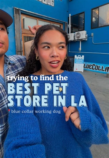 trying to find the BEST store in LA for my GSD/Great Dane/Husky and I’m starting at 📍blue collar working dog in echo park 🐾✨🛒 truly an AMAZING store for any sport/working/service/active dogs out there!! if your dog is not involved in those activities, that’s okay! they still have a pretty decent selection but definitely more geared towards working dogs (hence the name!) any other recs? #dogstore #petstore #dogfood #dogmom #dogsoflosangeles