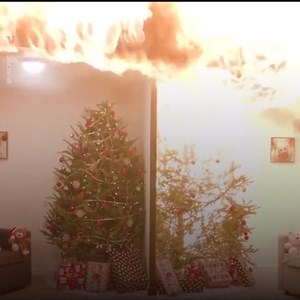 US Consumer Product Safety Commission PSA on dangers of not watering your Christmas tree