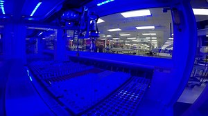 4.3K views · 20 reactions | In this month’s “Hot Topic,” Robin Patel, M.D., discusses the importance of accurate diagnosis of prosthetic-joint infection and its management, focusing on the pathogenesis, clinical presentation, and definition of arthroplasty failure, as well as discuss diagnostic strategies. https://mayocl.in/2JFng2F | Mayo Clinic Laboratories | Facebook