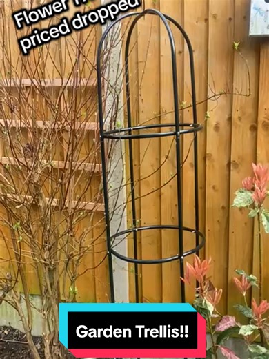 Affordable Garden Trellis to Enhance Your Flower Game