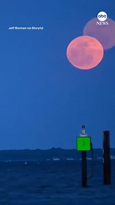 29K views · 498 reactions | Stunning timelapse shows April's vivid, full Pink Moon rising into the night sky over Kent Island, Maryland. The moon will appear full for several days this week, until Thursday morning, NASA said. https://abcnews.visitlink.me/nZLm29 | ABC News | Facebook