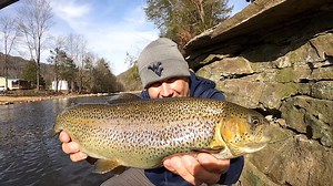 28K views · 260 reactions | Trout fishing opportunities are plentiful all around Elkins, West Virginia. In this episode of Pautzke Outdoors we drove up the mountain in search of quality rainbow trout stocked by the West Virginia Division of Natural Resources and invite you to join on the adventure in the greater Elkins-Randolph County Tourism area. | Pautzke Bait Company | Facebook