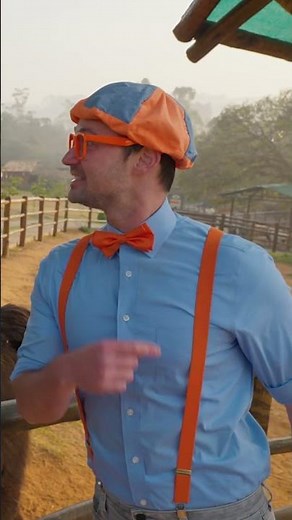 NEW EPISODE SATURDAY! Blippi Goes to Brazil!