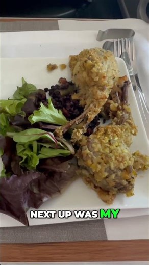 American Airlines Food Review | Is First Class Worth It? 🤔 #americanairlines #food #firstclass