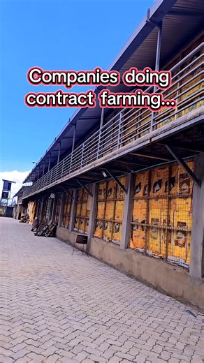 Master Contract Farming Negotiations for Better Deals
