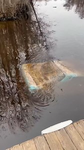 When it emerges 😳 | Adam Brown Adventures