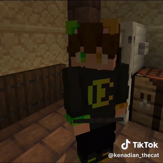 Minecraft Skit: The God Damn Malk Kenadian