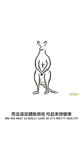 關於袋鼠獵人