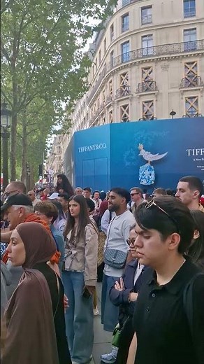 Paris -Avenue des Champs-Élysées- French region