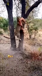 🌟 Let your safari dreams come alive! With expert guides and seamless planning, we ensure you capture moments like this on your next adventure. 📍 Start planning today! Click the link in the bio or visit the link below to get started and embark on a journey to the heart of the wild. 🌐 https://www.travelwisesafari.com 📩 E-mail info@travelwisesafari.com 📞 WhatsApp 255 629 142 552 . . . . . . . . . . . . . . . . . . . . #serengetiwildlife #tanzaniasafari #lionking #wildlifephotography #safariadv