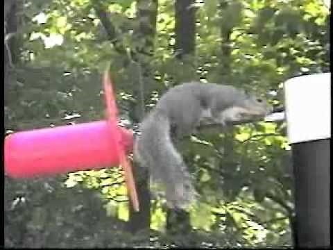 Critter Guard’s Line Guard in Action – The Solution to Squirrel Caused Power Outages