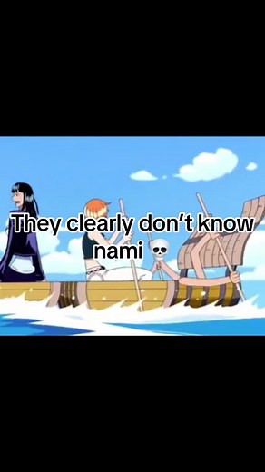 Nami Fanart: Luffy Scarf, Bounty Pose, and Zoro's Compliment