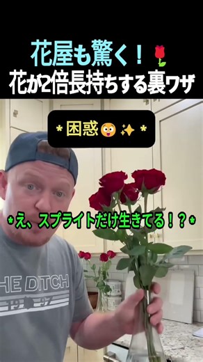枯れかけのバラが復活！？花屋も教えたくない「スプライト」の衝撃的な効果ｗｗ #裏ワザ #ライフハック