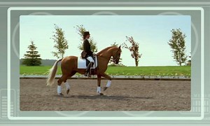 Rio 2016 Olympic equestrian dressage: all you need to know – video explainer