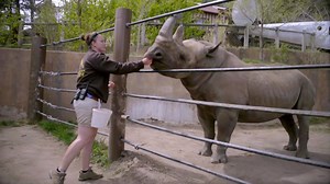 For the highly trained caretakers at AZA-accredited zoos and aquariums, caring for animals is more than a job – it’s a passion. Come see for yourself – click and find VISIT to locate a zoo or aquarium near you! | The Association of Zoos and Aquariums