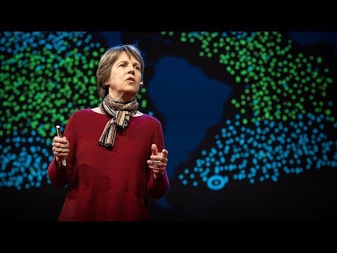 The tiny creature that secretly powers the planet | Penny Chisholm