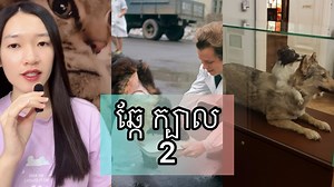 590K views · 10K reactions | ឆ្កែ ក្បាល 2 - Scientist experiments on animal #animal #scientist #lab | Chay Sivlang | Facebook