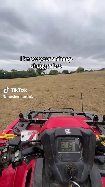 I Know You're a Sheep Shagger Bro