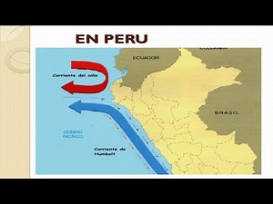 La Corriente de Humboldt - El Flujo de Aguas Frías Marinas Más Importante del Mundo