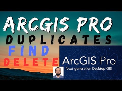 ArcGIS Pro FIND DELETE DUPLICATES