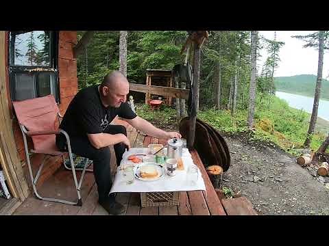 Solo Off Grid Cabin Trip Black Bear Moose And Brook Trout Episode #67